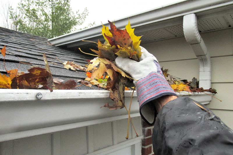 Late Summer Gutter Protection