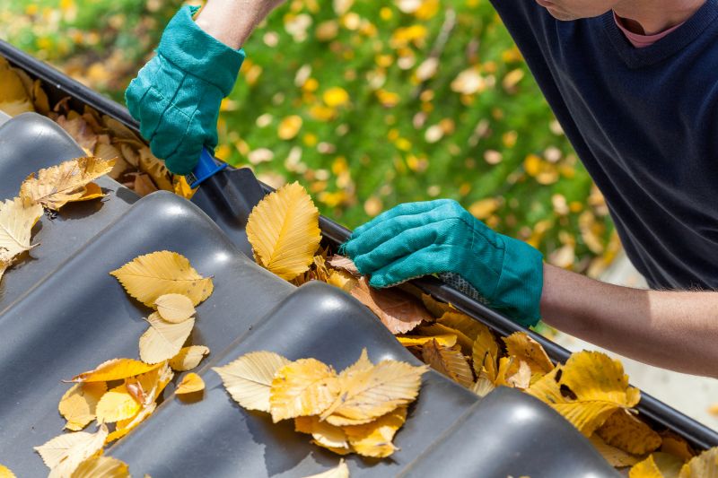 Autumn Leaf Prevention