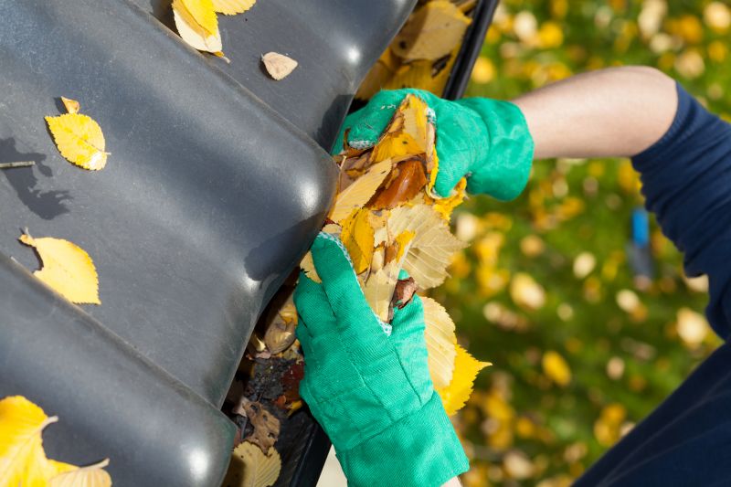 Seasonal Gutter Cover Checks