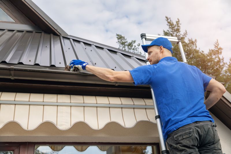 Gutter Maintenance Professionals
