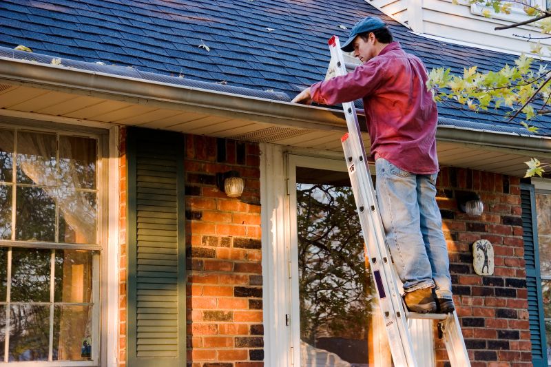 Expect Professional Gutter Cover Service